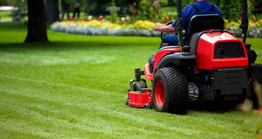 Lawn Care Houston, TX – Texas Lawn Masters